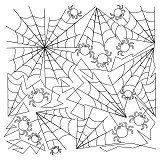 spider web pano 006
